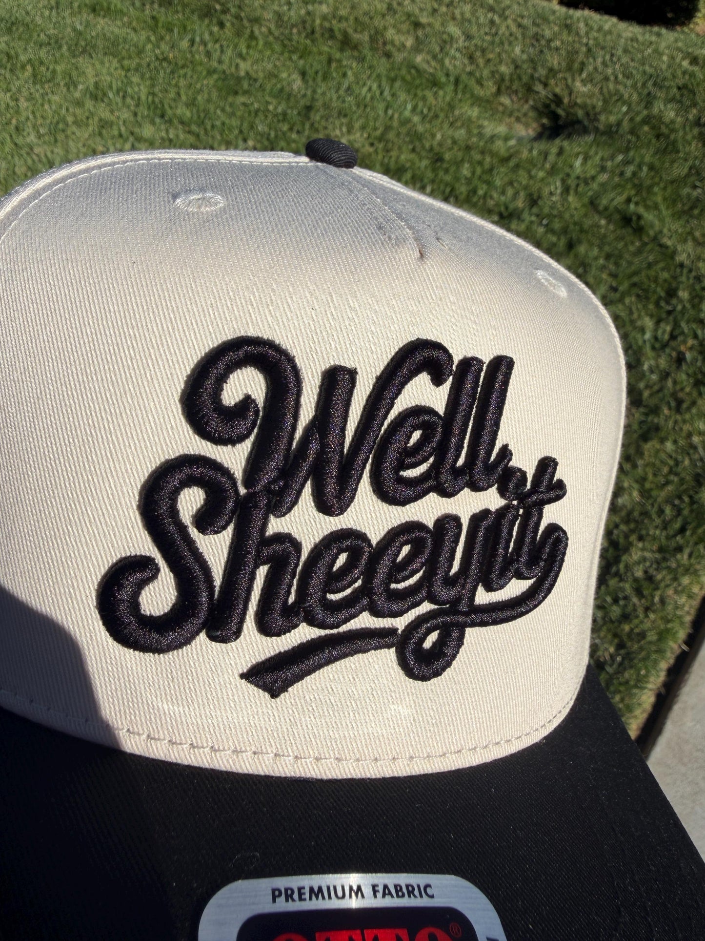 Well Sheeyit Embroidered 3D Puff Hat